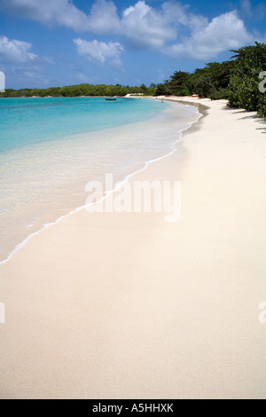 Paradise Beach Carriacou Grenadine Caraibi Foto Stock