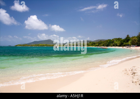 Paradise Beach Carriacou Grenadine Caraibi Foto Stock