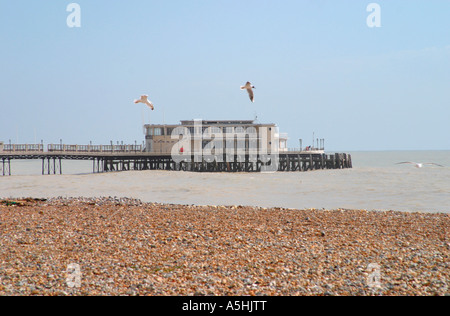 Gabbiani che volano su una spiaggia deserta vicino a Worthing Pier, Worthing, West Sussex, Worthing, UK. Foto Stock