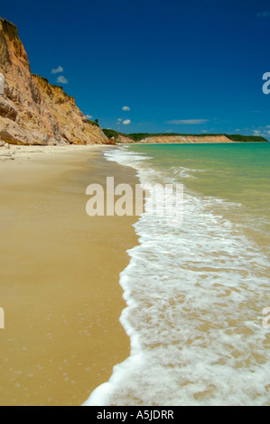 Paradiso tropicale con palme da cocco sabbia bianca e un mare verde di carro Quebrado spiaggia Barra de Santo Antonio Alagoas nord-est Foto Stock
