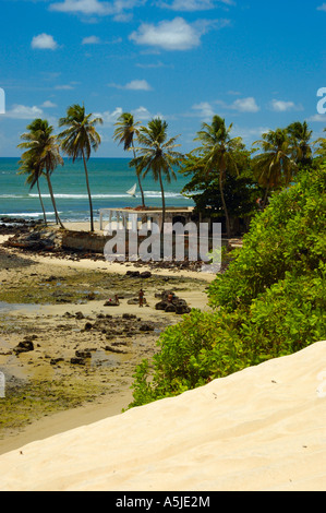 Spiaggia di Genipabu Extremoz county vicino a Natal Rio Grande do Norte Brasile nord-orientale Foto Stock