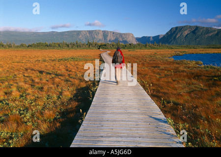 Escursionista sul Boardwalk per Western Brook Pond fiordo Parco Nazionale Gros Morne Terranova in Canada Foto Stock