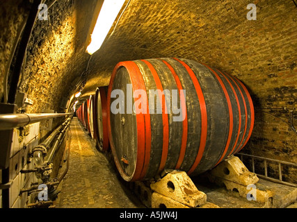 Villany, 9000 l vino botte nella più grande cantina del Villany, Pecs, Southungary, Ungary, Europa sud-orientale, Europa Foto Stock