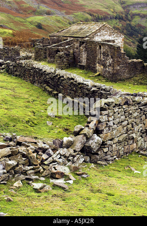 Crackpot Hall, nei pressi di Keld, Swaledale. Una volta che una lussuosa residenza di caccia per la nobiltà, ora ridotto a fatiscenti rovine. Foto Stock