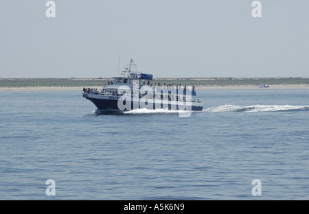 Il 'Delfino II', una Crociera Avvistamento Balene nave fuori a Provincetown, Cape Cod, Massachusetts. Foto Stock