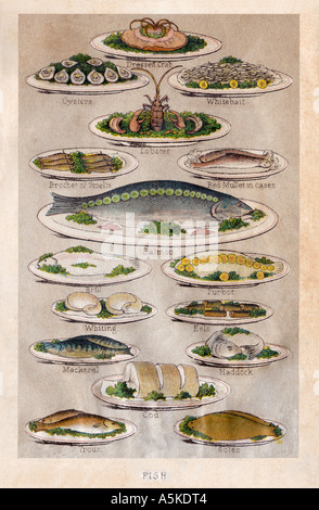 Pesce illustrazione oscurata dalla onorevole Beetons Libro della gestione della casa in primo luogo pubblicato in 1861 Foto Stock