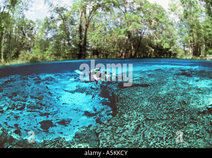 FL molle Ginnie donna subacquei con telecamera video in Ginnie bacino a molla Foto Stock