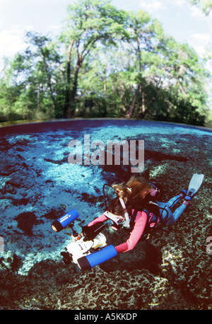 FL molle Ginnie donna subacquei con telecamera video in Ginnie bacino a molla Foto Stock