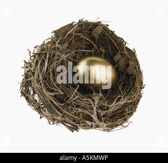 Studio shot del nido con golden egg Foto Stock