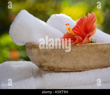 Ciotola con asciugamani puliti arrotolati e fiore Foto Stock