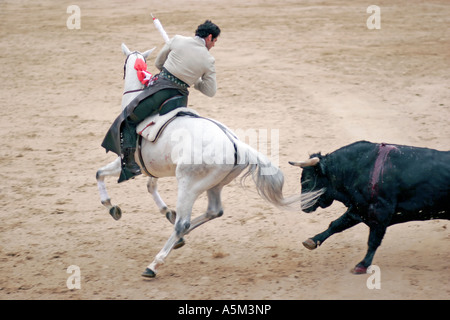 Torero cavallo ('rejoneador') è rivolta verso il toro durante 2005 Feria de San Isidro a Las Ventas, Madrid Foto Stock