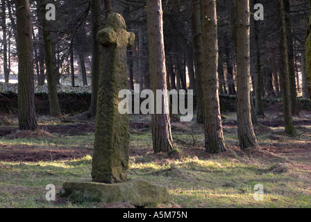 'Shillito Croce' un antico in pietra croce collocata in un piedistallo triangolare in legno Shillito nel Derbyshire "Gran Bretagna" Foto Stock