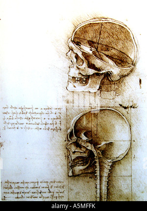 Anatomische Zeichnung von Leonardo da Vinci Medizinische Studien des menschlichen Koerpers Anatomisches Studienblatt welches bei Foto Stock