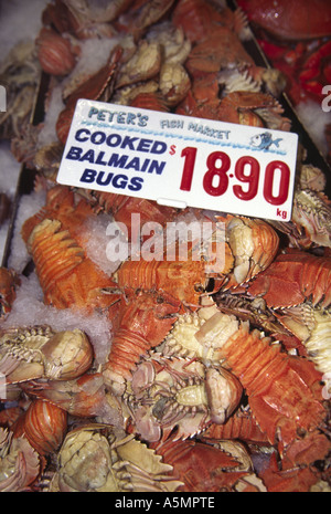 Cucinato Balmain bug Sydney Australia Foto Stock