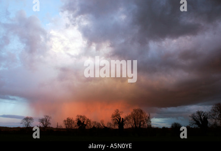 Drammatica pioggia nuvole catturati nel tramonto su campi Foto Stock