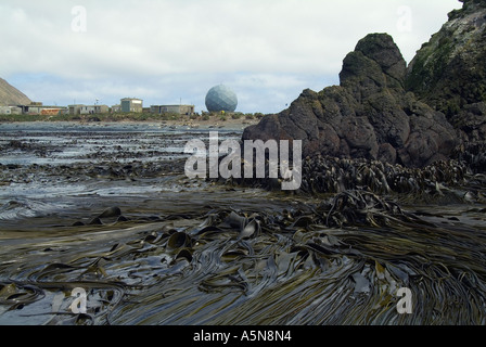 ANARESAT dome per le comunicazioni via satellite Anare stazione scientifica Macquarie Island Foto Stock