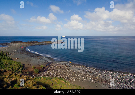 Sandy Bay Macquarie Island King colonia di pinguini Foto Stock