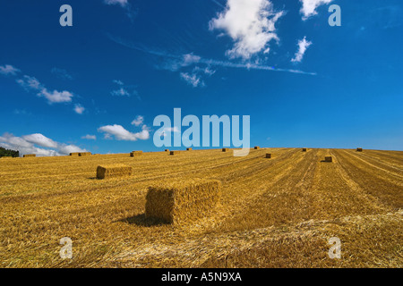 Balle rettangolari nelle vicinanze del Compton dando, Somerset, Inghilterra Foto Stock