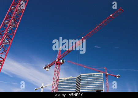 Il bianco e il rosso di gru Foto Stock