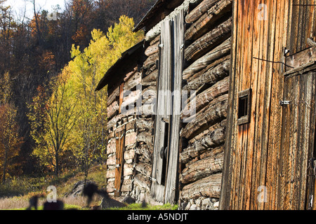 Fienile fila con alberi: granaio pendente fila: Tre del xviii secolo due fienili di log e uno di pannelli impilati insieme per fare una facciata Foto Stock