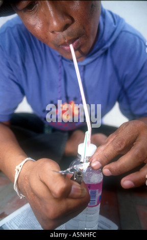 ADDICT FUMA YABAA CRAZY FARMACO THAILANDIA Foto Stock