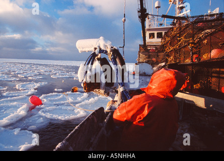 Alaska del mare di Bering un granchio commerciale pescatore tira in un bouy galleggianti in ghiaccio sull'oceano Foto Stock
