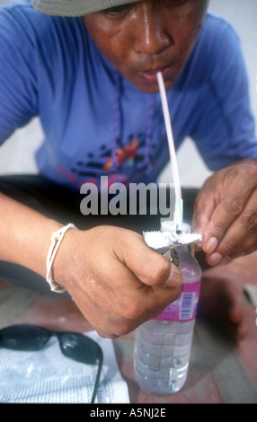 ADDICT FUMA YABAA CRAZY FARMACO THAILANDIA Foto Stock