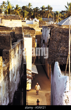 La strada principale della città di Lamu isola di Lamu Kenya Coast Africa orientale Foto Stock