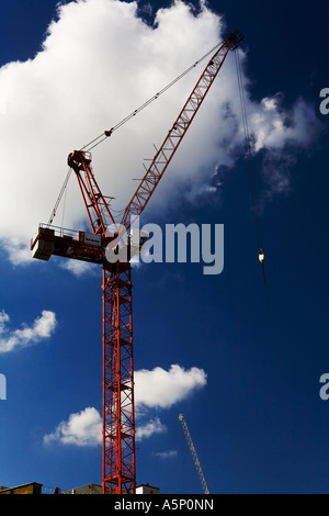 Gru rosso contro un cielo blu Foto Stock