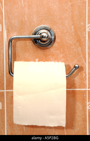Rotolo di carta igienica e di supporto. Foto Stock