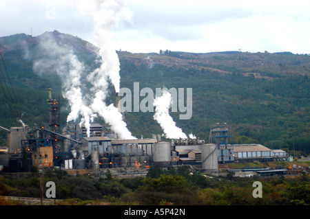 Industria della carta fabbrica, Eswatini, Swaziland Foto Stock