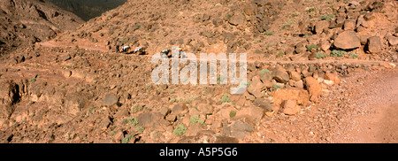 Muli provenienti lungo la valle laterale Jbel Sahro Marocco Foto Stock