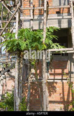 Cemento e impalcature in legno sul nuovo sito in costruzione Krabi città provincia sud della Thailandia Foto Stock