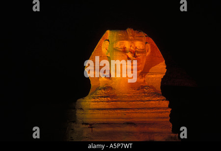 La Sfinge illuminata di notte, le Piramidi di Giza, il Cairo, Egitto Foto Stock