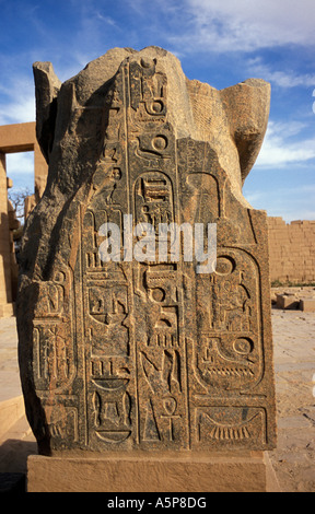 Il Ramesseum, tempio di Ramses II, hyroglyphs, Antica Tebe, Luxor, Egitto Foto Stock