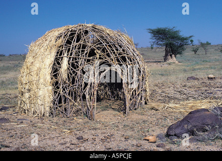 Turkana hut in costruzione che mostra quadro tipici realizzati dai rami di Thorn trees Kenya Africa orientale Foto Stock