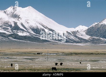 Sulla strada che collega LHASA A SHIGATZE TOWN, TIBET Foto Stock
