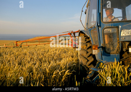 Irrorazione delle colture la raccolta la spruzzatura di pesticidi su campi di orzo SOMERSET REGNO UNITO Foto Stock
