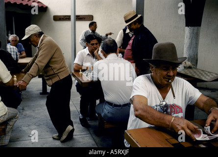 Esuli cubani a Miami i membri anziani della comunità IN DOMINO PARK gli uomini in cappelli di fumare sigari di giocare a carte,scacchi e DOMINO Foto Stock