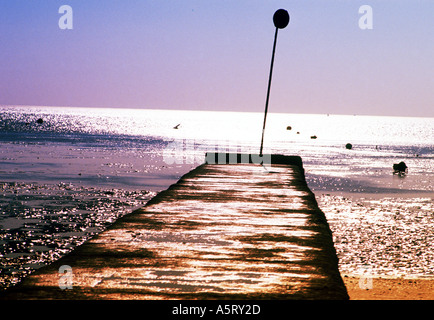 Pontile a bassa marea Foto Stock