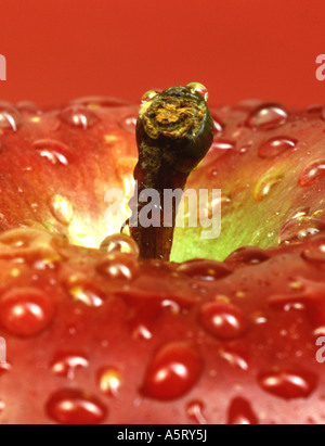 Macro di Apple Foto Stock