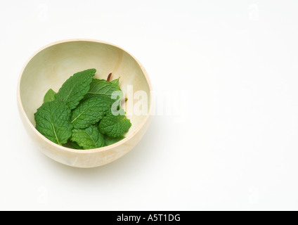 Le foglie di menta in calabash gourd ciotola Foto Stock