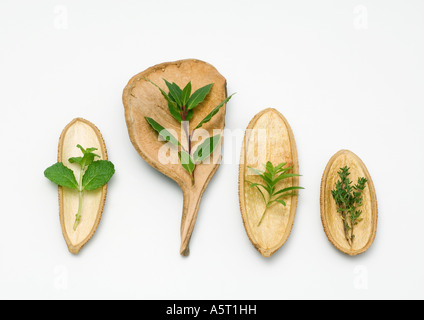 Varietà di erbe su un assortimento di bucce essiccate Foto Stock