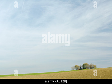 Campo Arato e casa circondata dal bosco di alberi Foto Stock