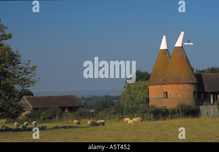 Oast Case e Kentish campagna a tre camini Nr Biddenden Kent England Foto Stock