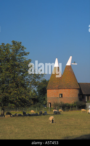 Oast Case e Kentish campagna a tre camini Nr Biddenden Kent England Foto Stock