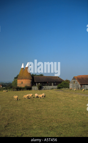 Oast Case e Kentish campagna a tre camini Nr Biddenden Kent England Foto Stock