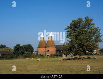 Oast Case e Kentish campagna a tre camini Nr Biddenden Kent England Foto Stock