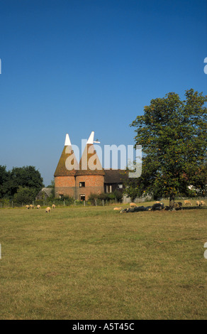 Oast Case e Kentish campagna a tre camini Nr Biddenden Kent England Foto Stock