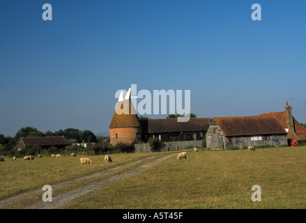 Oast Case e Kentish campagna a tre camini Nr Biddenden Kent England Foto Stock